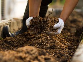 Picture for category Professional Compost
