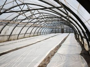 Picture for category Polythene