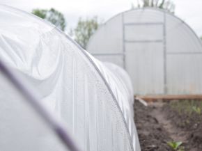 Picture for category Polythene Covers