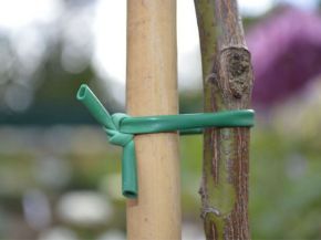 Picture for category Tree Ties & Plant Tying