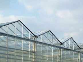 Picture for category Cleaner