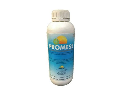 Picture of Promess 1Ltr