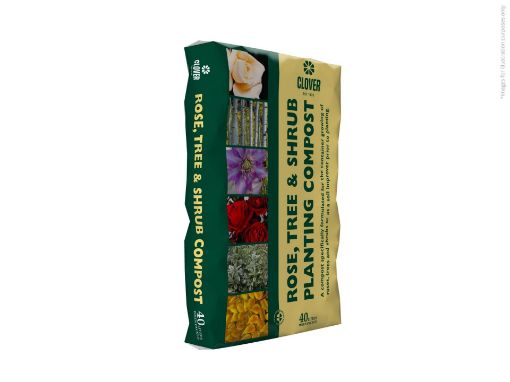 Picture of Rose, Tree & Shrub Compost