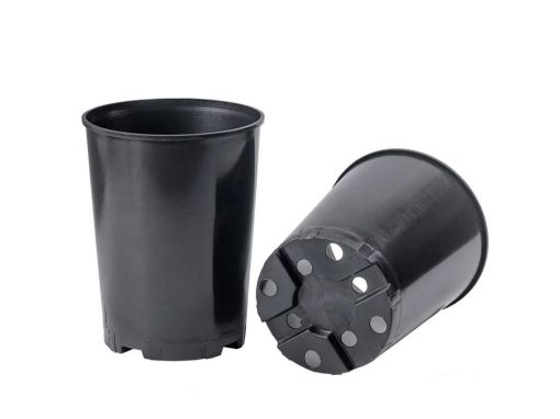 Picture of Deep Rose Pot