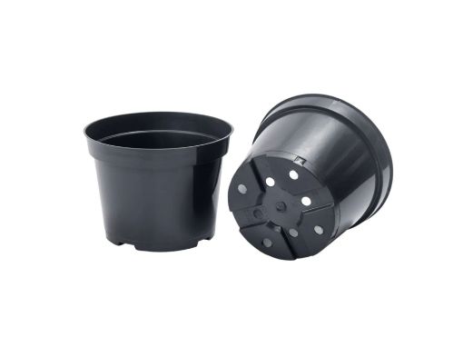 Picture of Round Container Pot