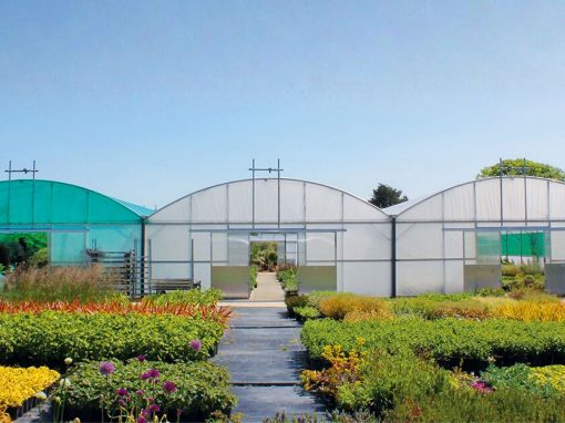 Picture of Multilink CBV Polytunnel