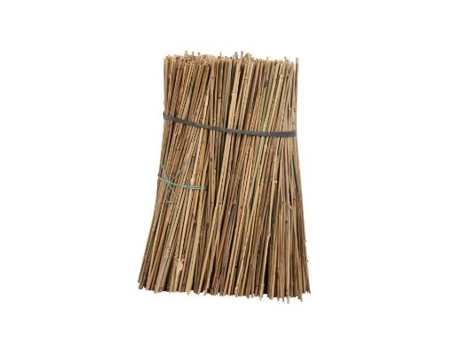 Picture of Bamboo Canes 