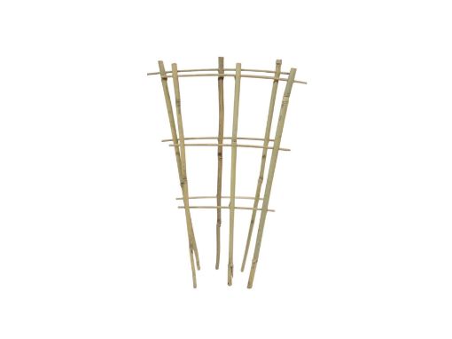 Picture of Bamboo Fan Trellis 