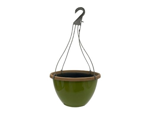 Picture of Bradwall Hanging Pot