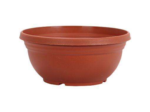 Picture of Orion Bowl