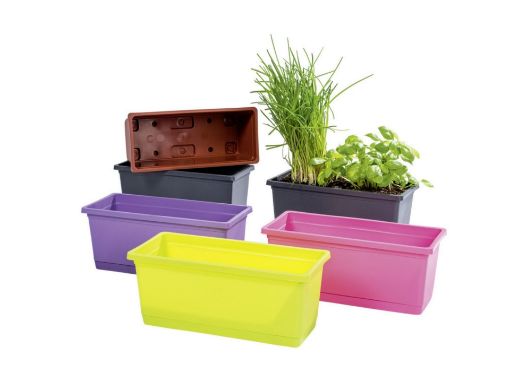 Picture of Rimini Trough