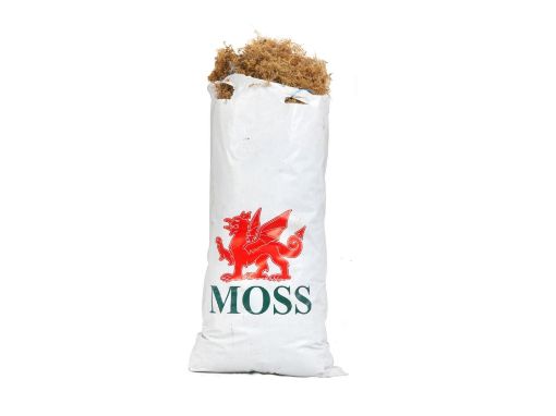 Picture of Welsh Moss
