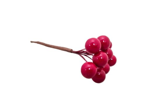 Picture of 10-Berry Cluster