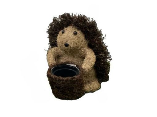 Picture of Brushwood Hedgehog Planter
