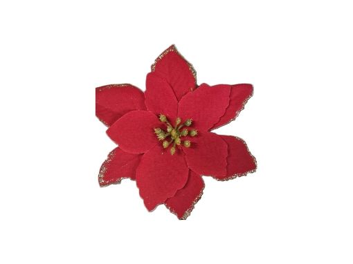 Picture of Large Velvet Poinsettia