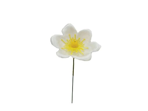 Picture of Plastic Christmas Rose