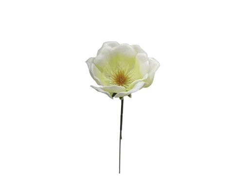 Picture of Plastic Hellebore