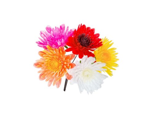 Picture of Plastic Mini Chrysanthemum