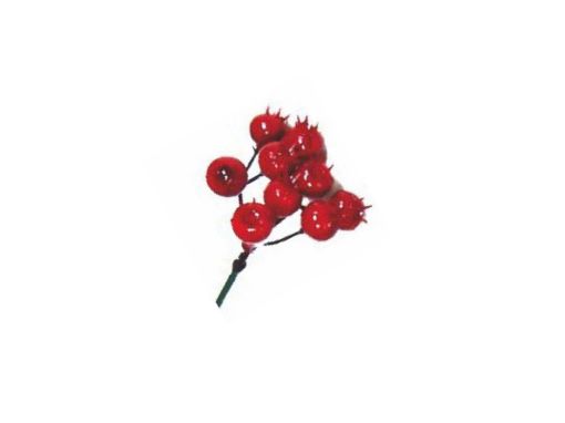Picture of Red 9-Berry Cluster