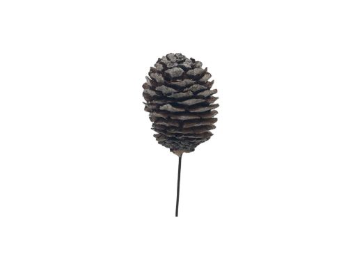 Picture of Wired Murii Cones