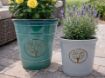 Picture of Sycamore Planter
