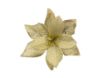 Picture of Large Velvet Poinsettia