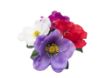 Picture of Silk Anemone