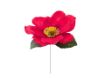 Picture of Silk Anemone