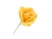 Picture of Plastic Rose