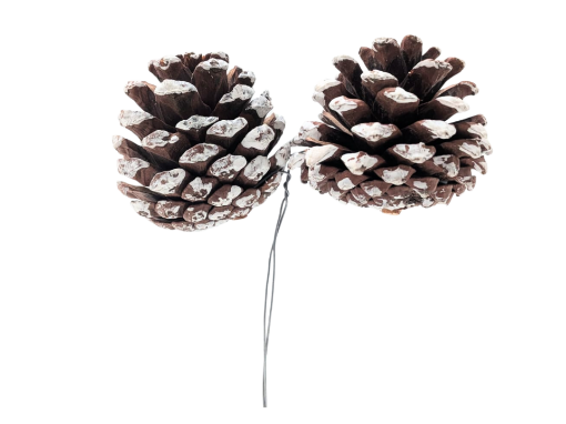 Picture of Wired Double White Tipped Pine Cone