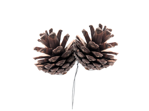 Picture of Wired Double Pine Cones