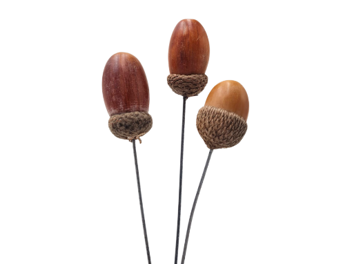 Picture of Wired Natural Acorn