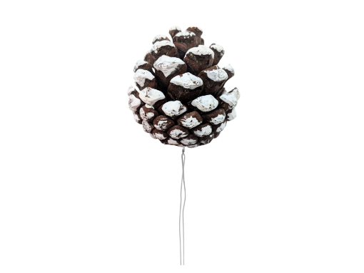 Picture of Wired Single White Tipped Pine Cones