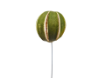 Picture of Wired Dried Whole Green Orange 