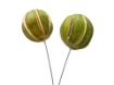 Picture of Wired Dried Whole Green Orange 