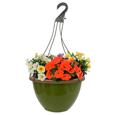 Bradwall Hanging Pot