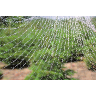 Christmas Tree Net